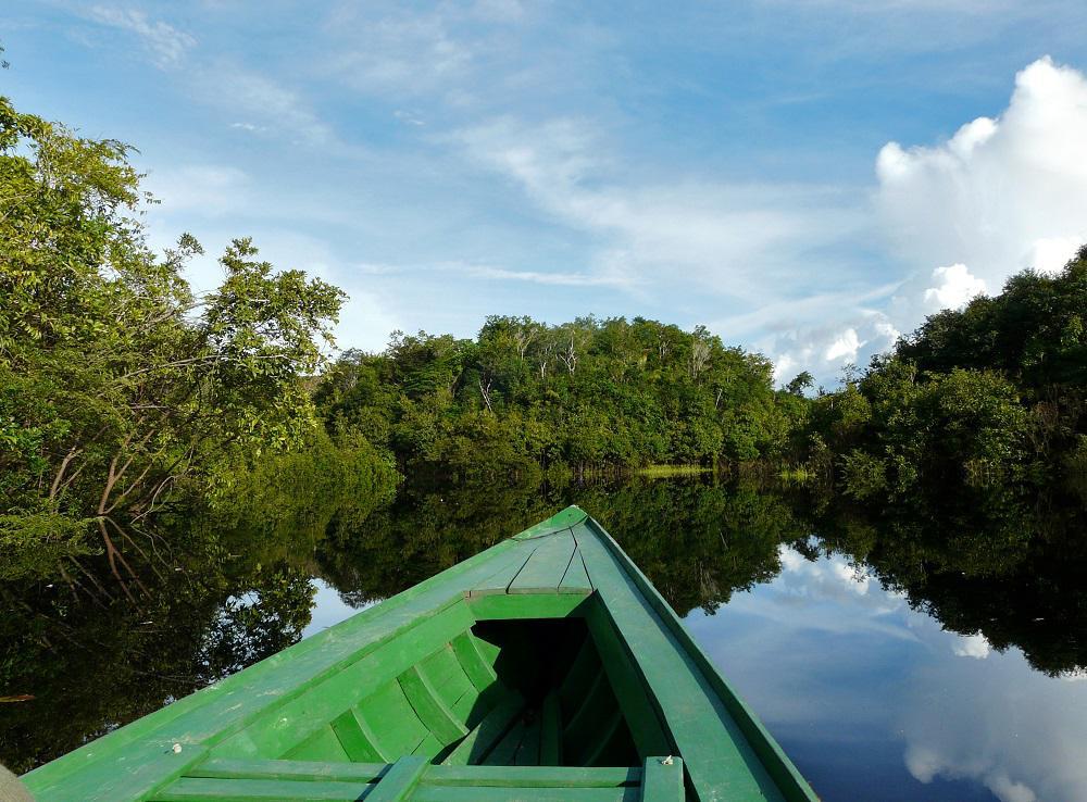 My Amazonian ayahuasca adventure | Ecohustler Magazine