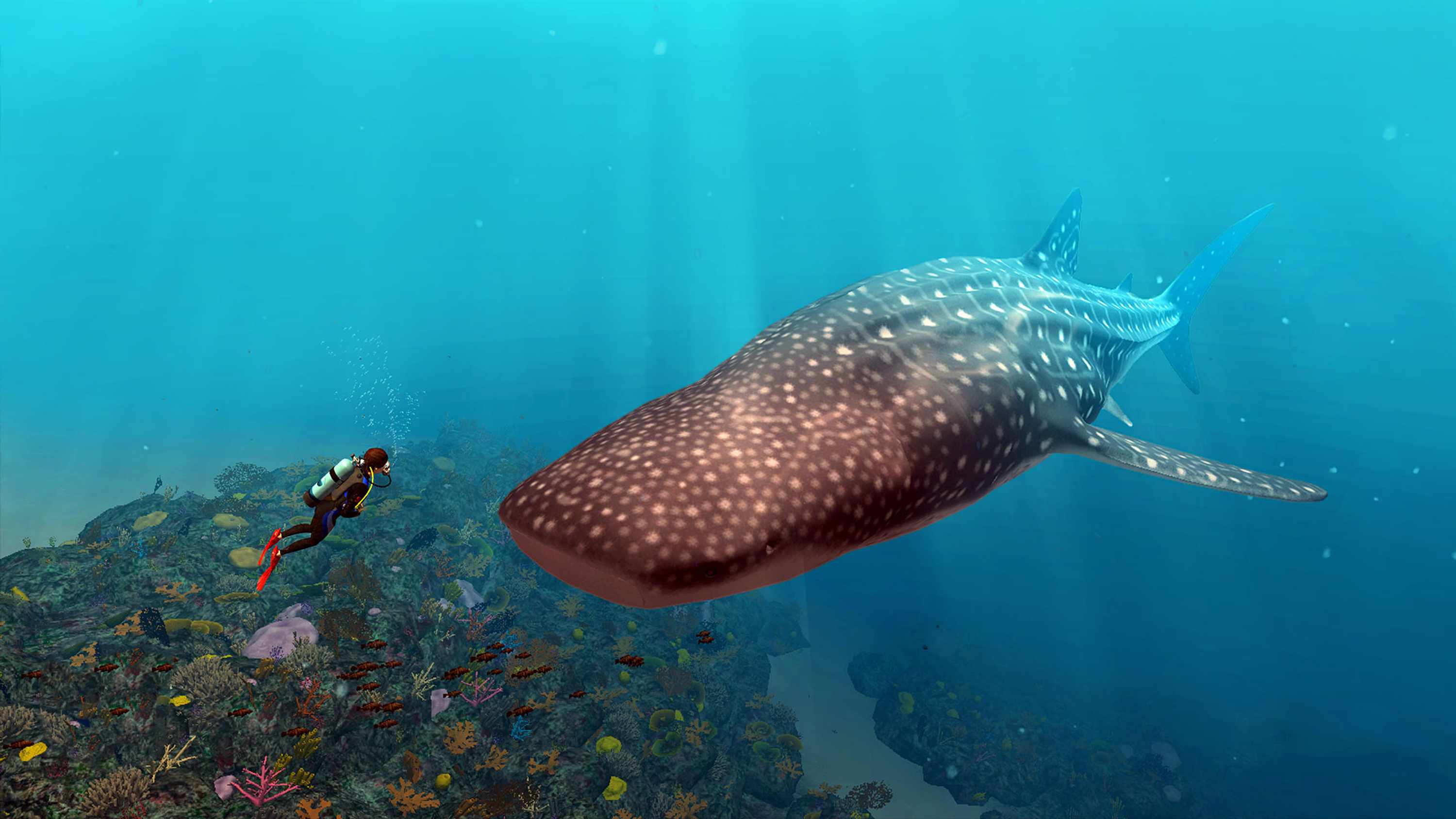 Dr. Sylvia Earle diving with a Whale Shark