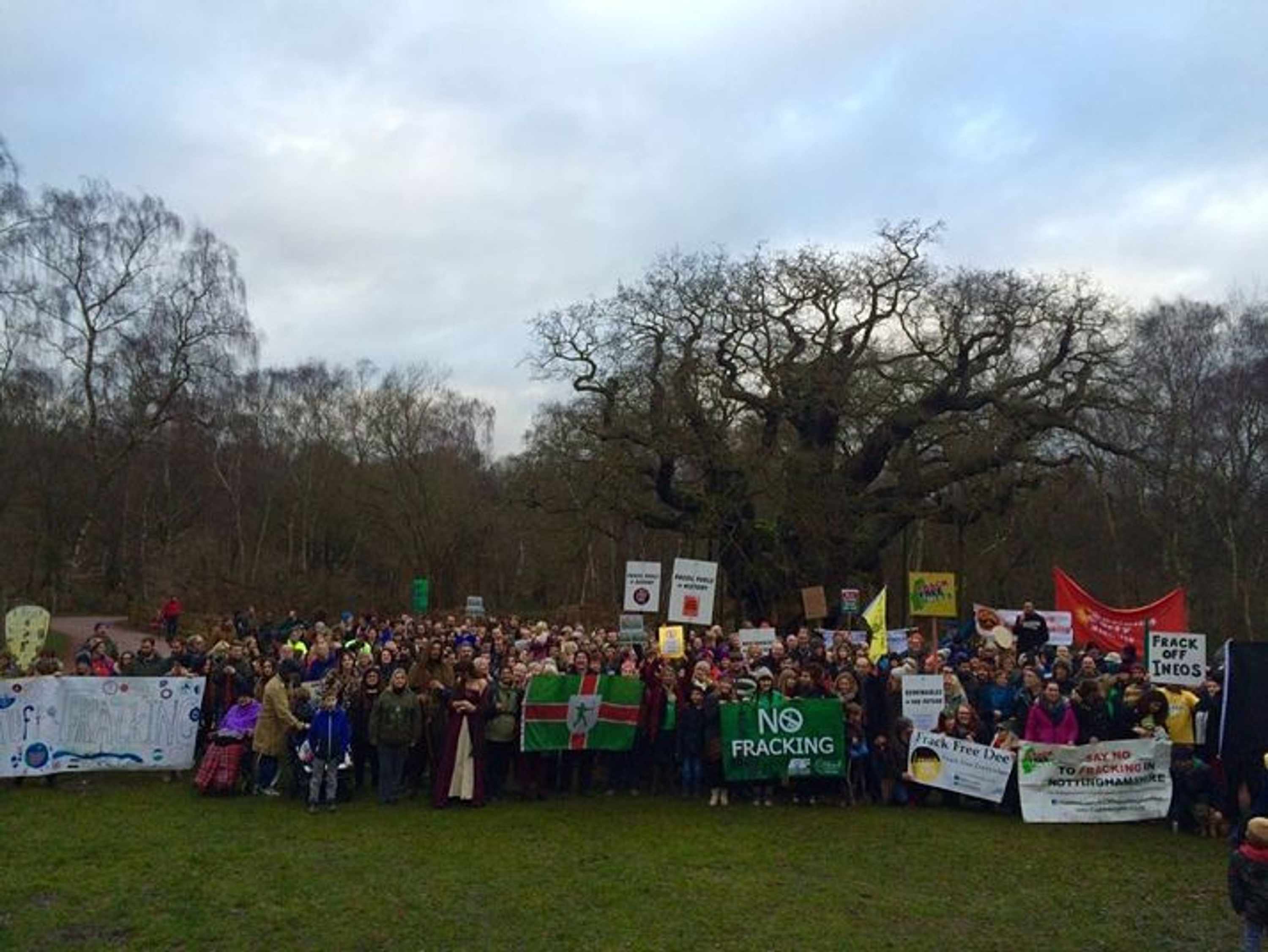 Protestors gathered at the Major Oak in Sherwood Forest
