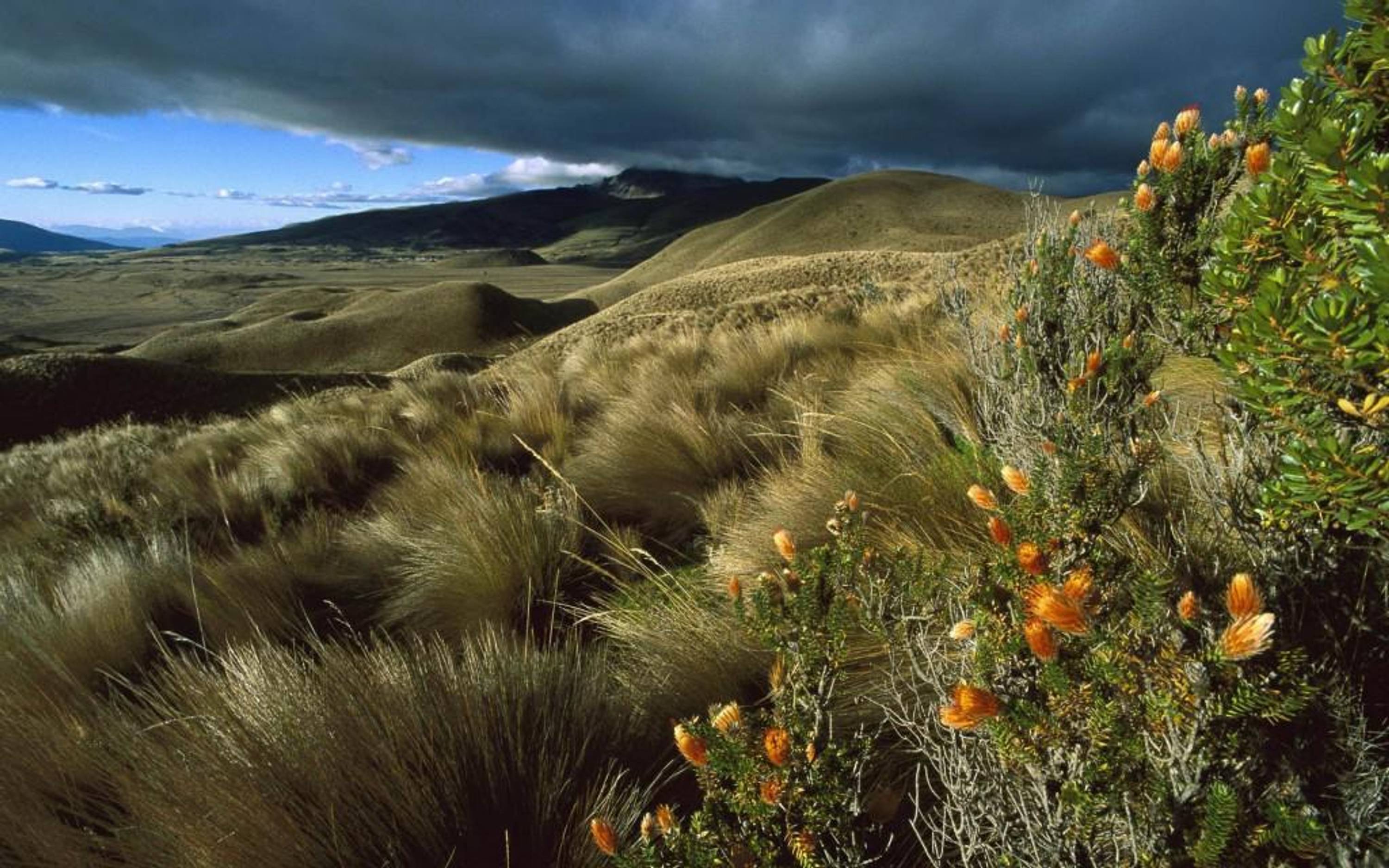 Natural-Scenery-Ecuador