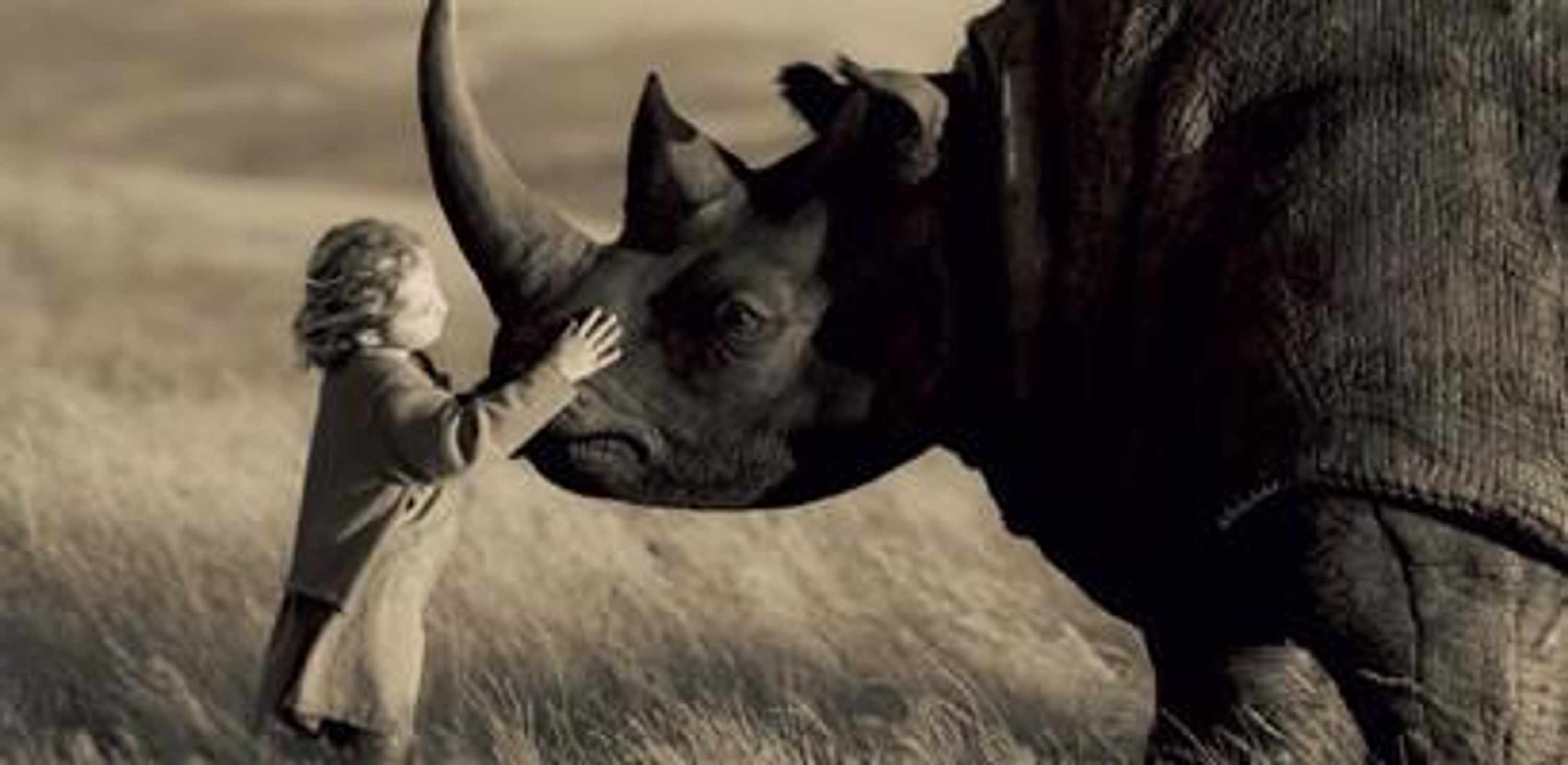 Rhinos-favorite-trusting-rhino