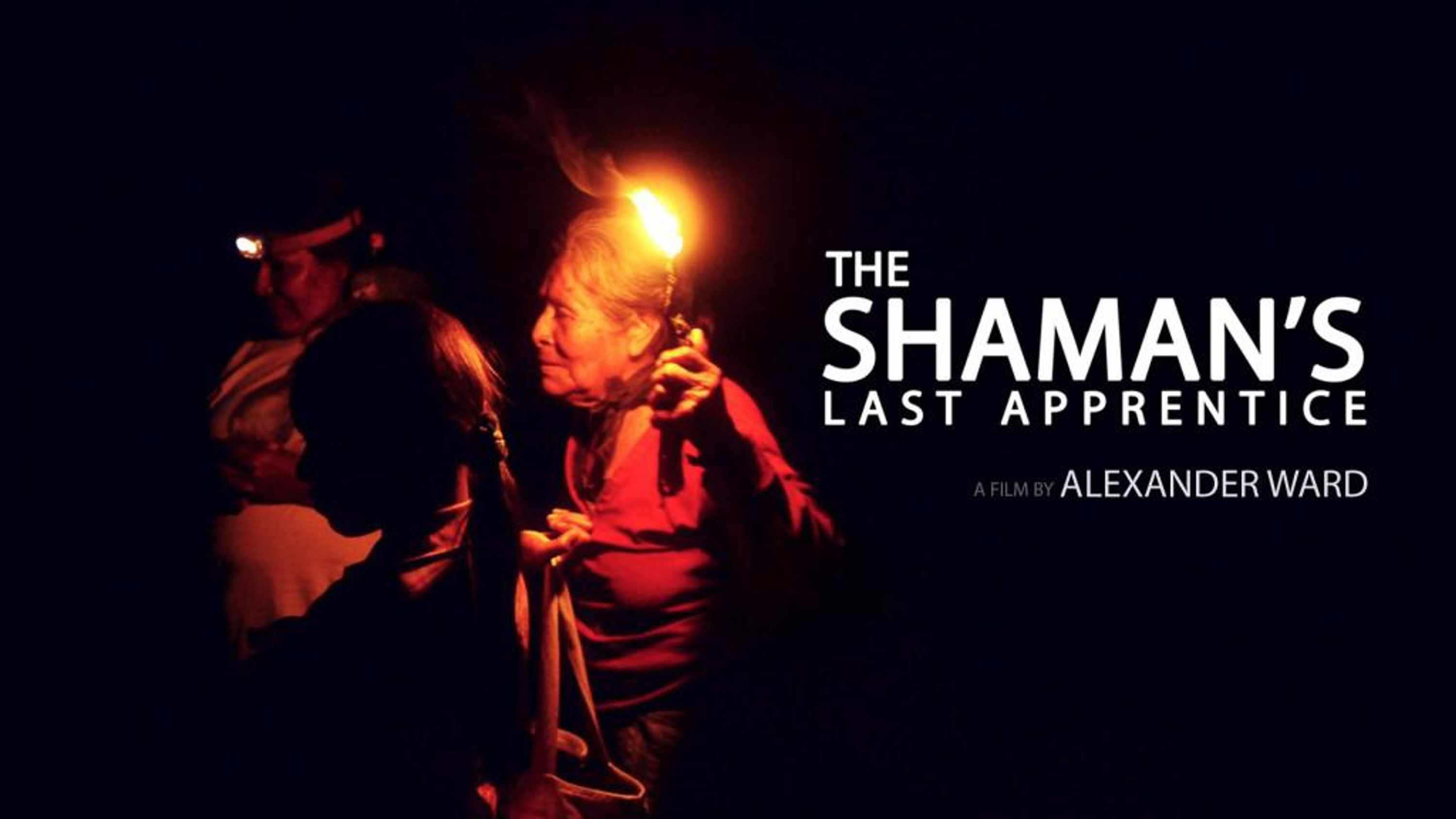 The Shaman&#39;s Last Apprentice image