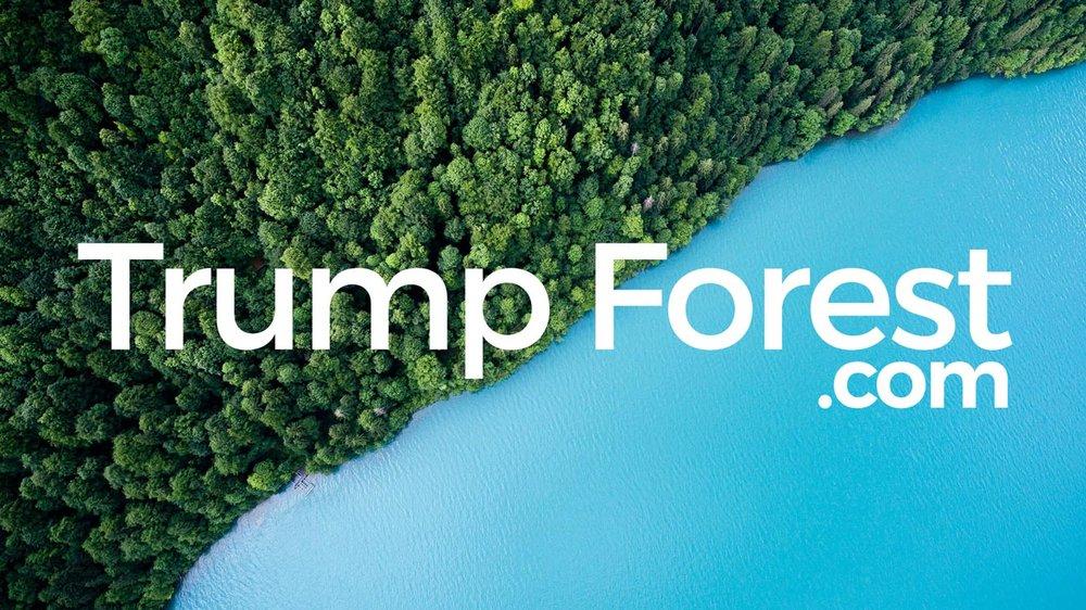 Offsetting Trump S Ignorance With Trees Ecohustler - ecosia the search engine that plants trees with its profits and global crowdsourced initiative trump forest are proud to announce the launch of their