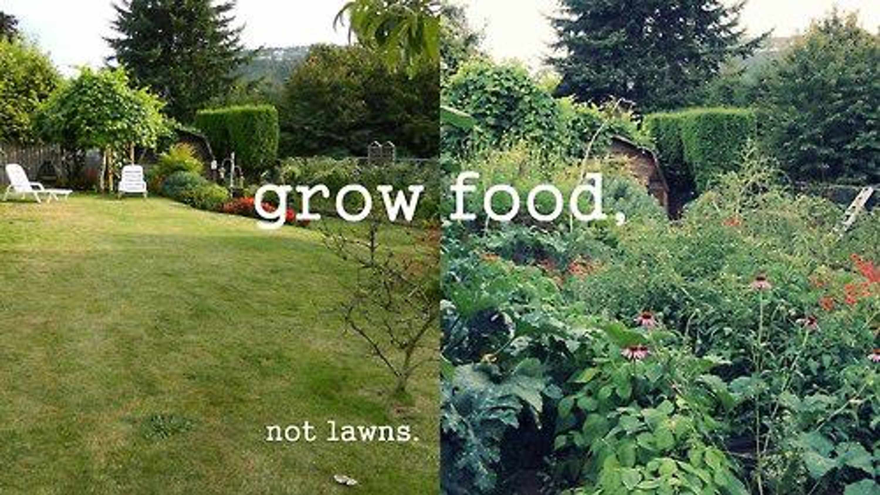 grow food not lawns