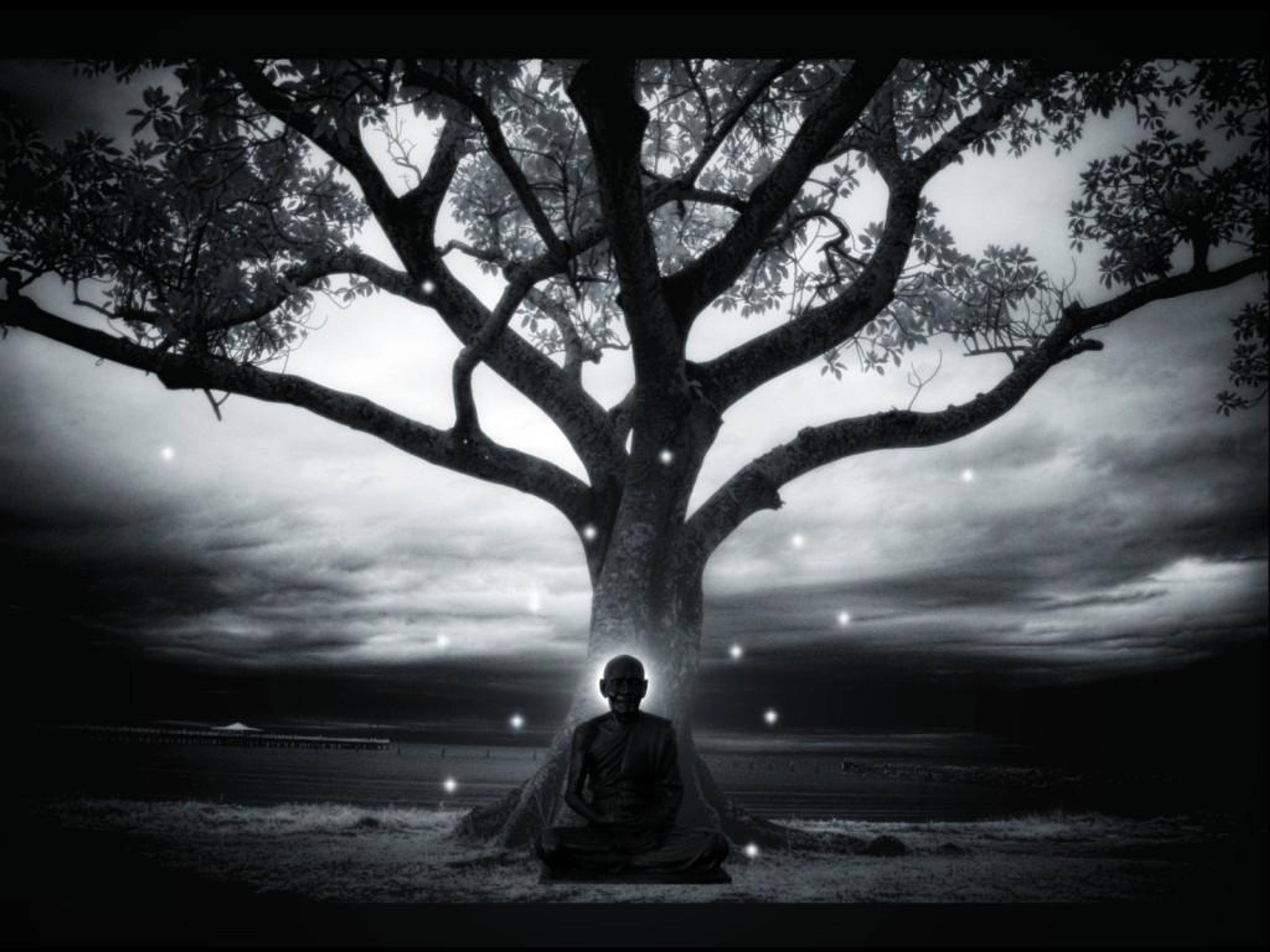 in-meditation-nature-tree