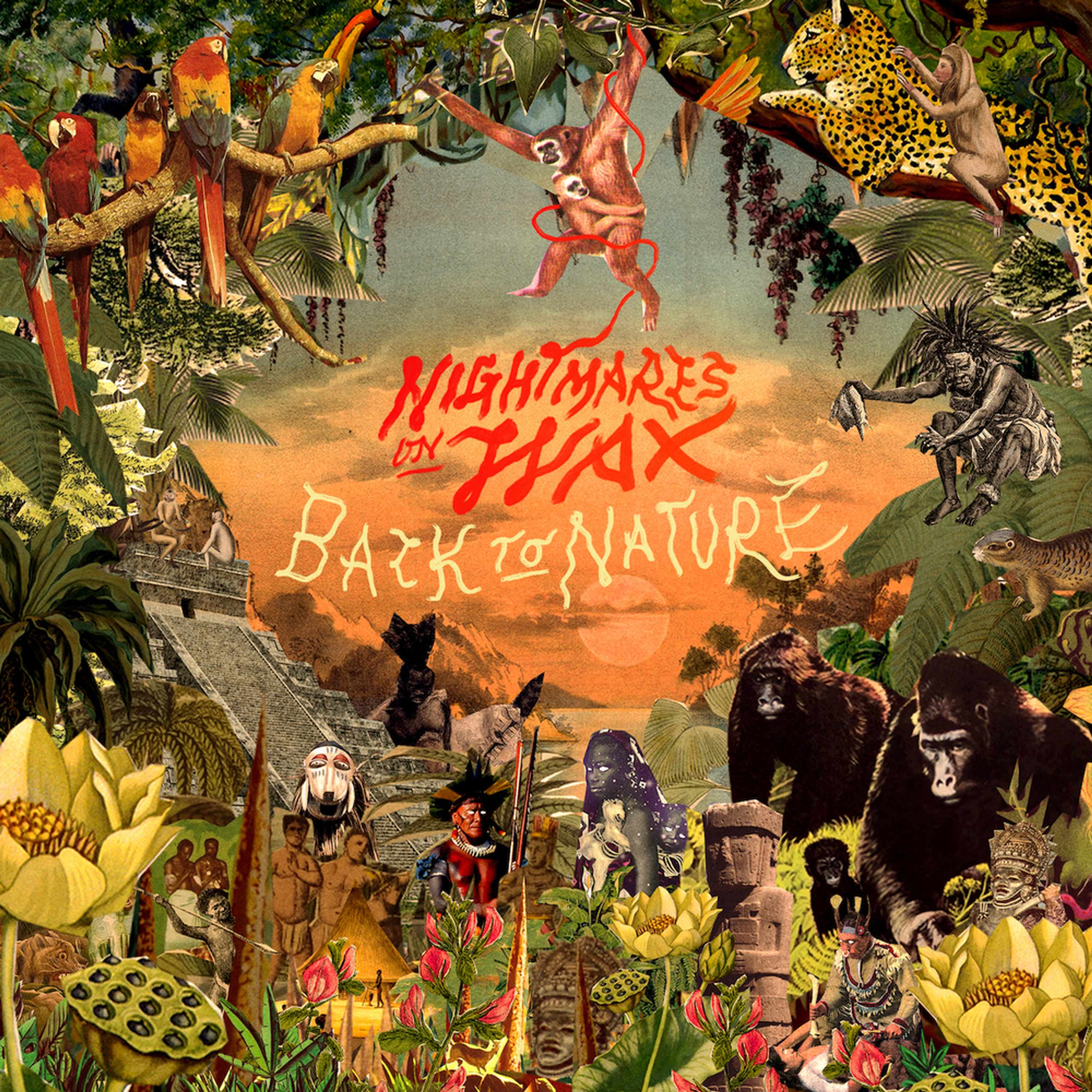 Nightmares on Wax - Back To Nature