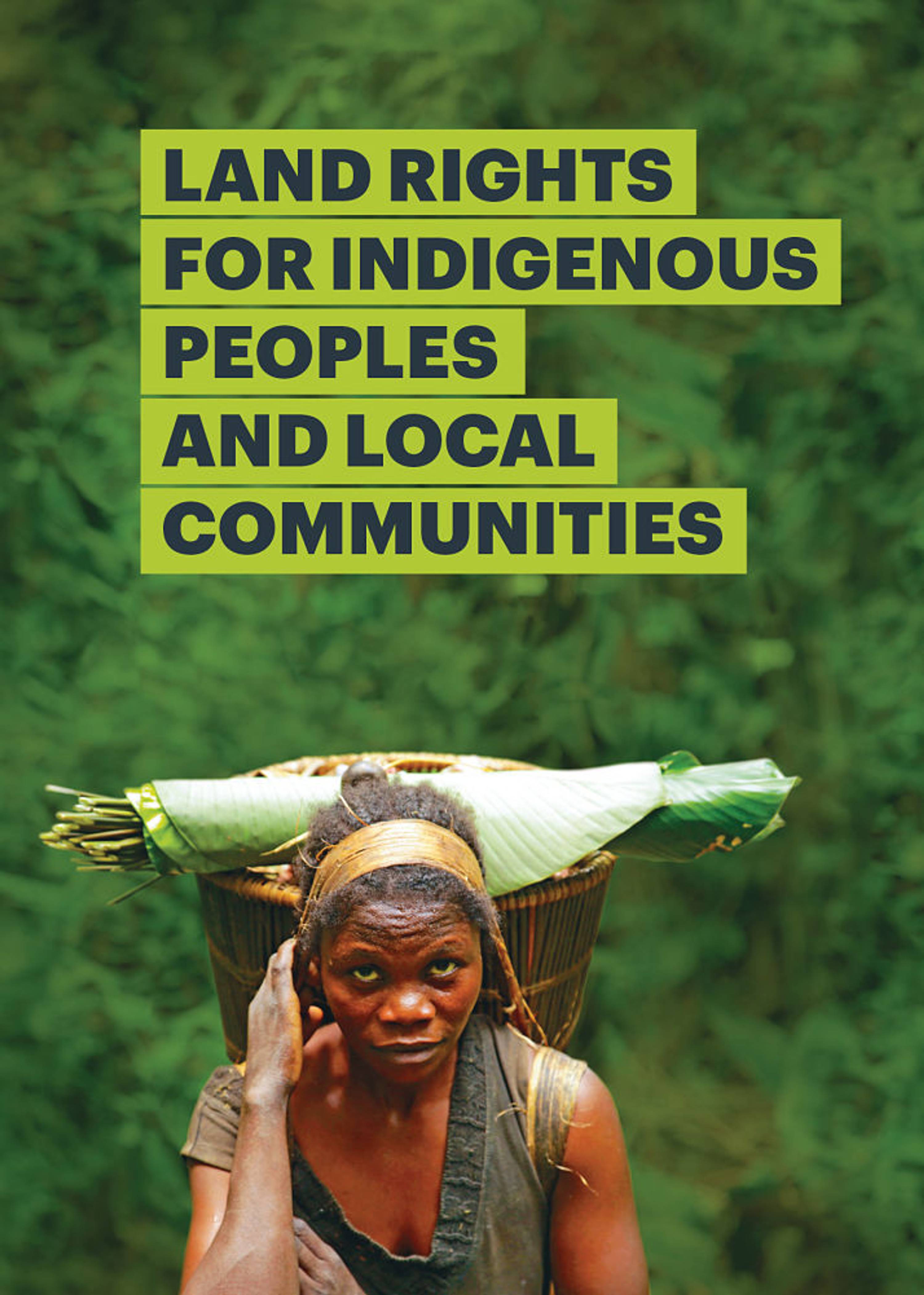 Indigenous land rights