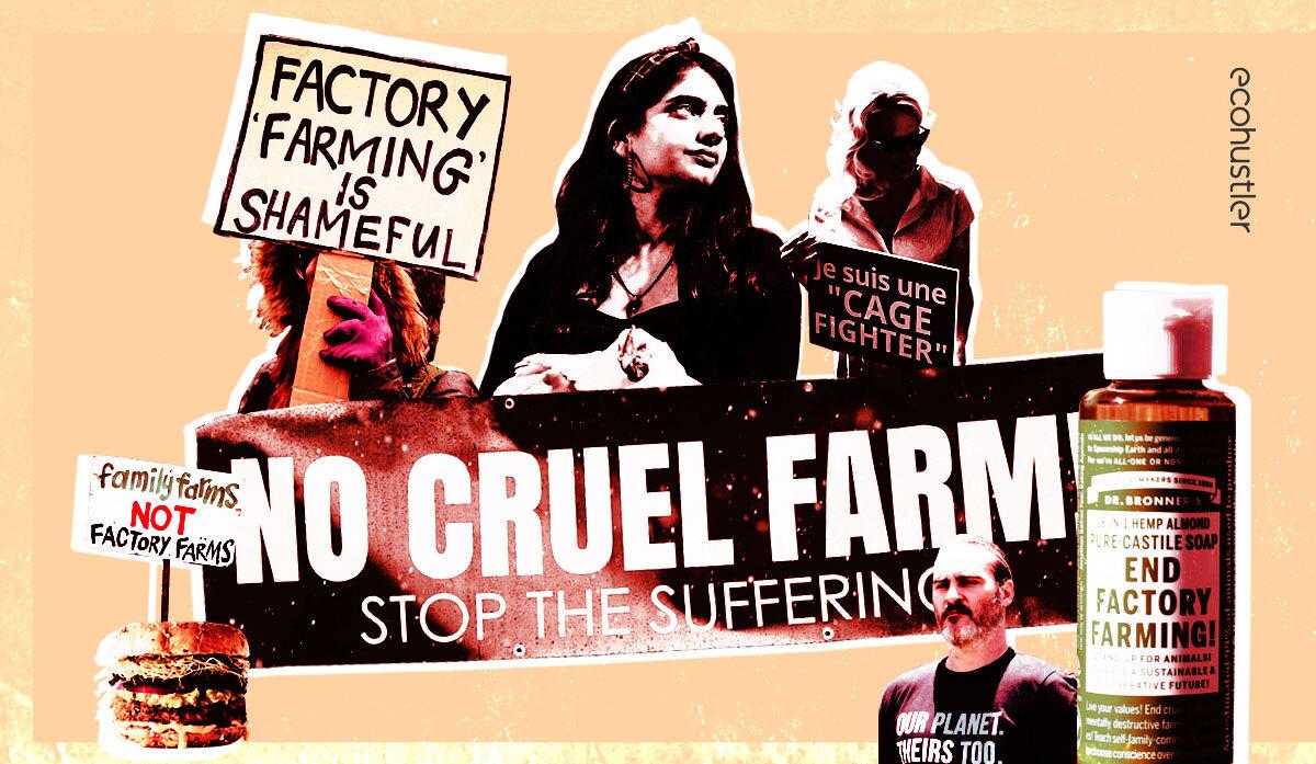 7 Signs The People Will Defeat Factory Farming | Ecohustler